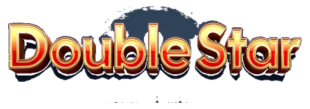 doublestar logo